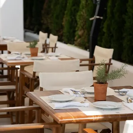 Great White Shëngjin